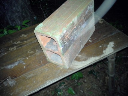 Name:  wed 028.jpg
Views: 293
Size:  56.9 KB