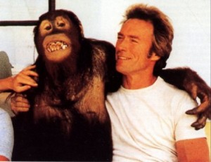 Name:  clyde-300x231.jpg
Views: 106
Size:  19.6 KB