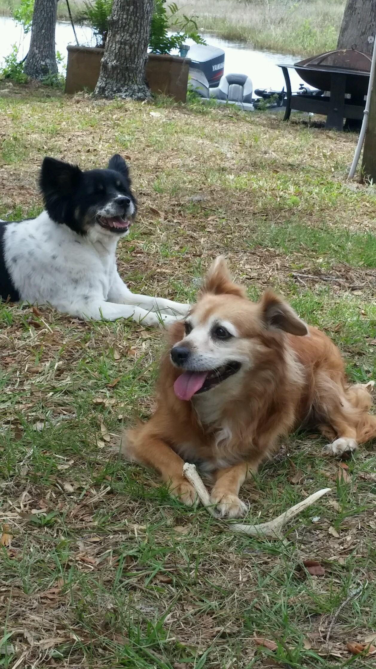 Name:  IMG_20170415_141056.jpg
Views: 1053
Size:  947.4 KB