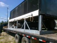 1956's Avatar 1956's Avatar