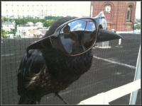 ilyaz's Avatar ilyaz's Avatar