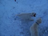 submarinepainter's Avatar submarinepainter's Avatar