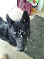 VoodooDaddy's Avatar VoodooDaddy's Avatar